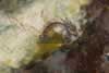 DETAIL #3