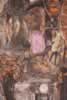 DETAIL #1